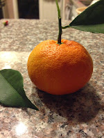 close up image of a Clementine orange on a counter.