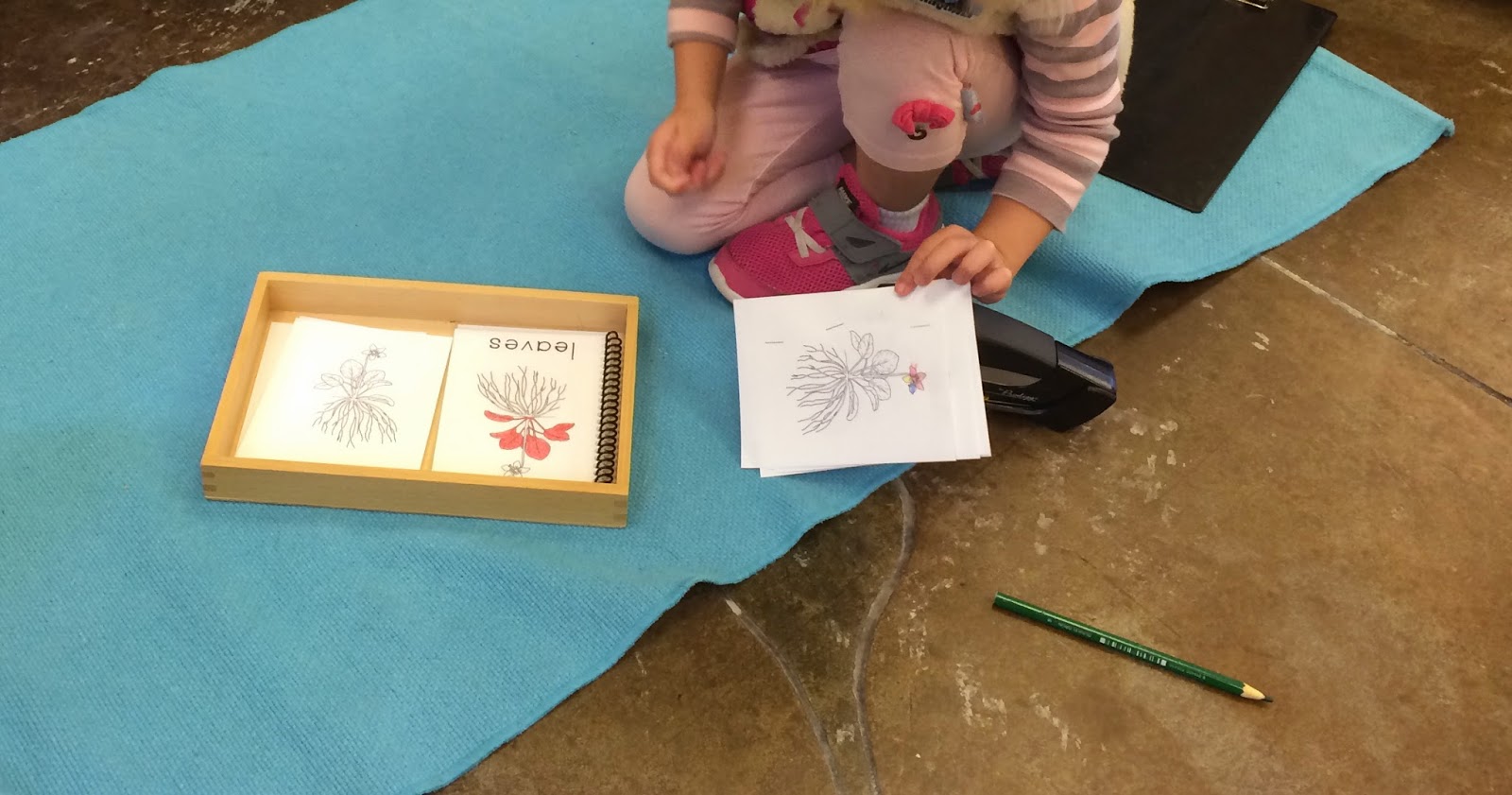 the-helpful-garden-nomenclature-cards-and-parts-booklets-what-a