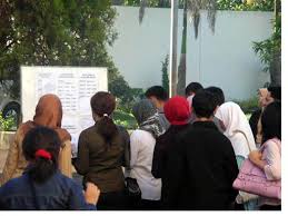 Pemprov DKI, Lowongan CPNS 1.515