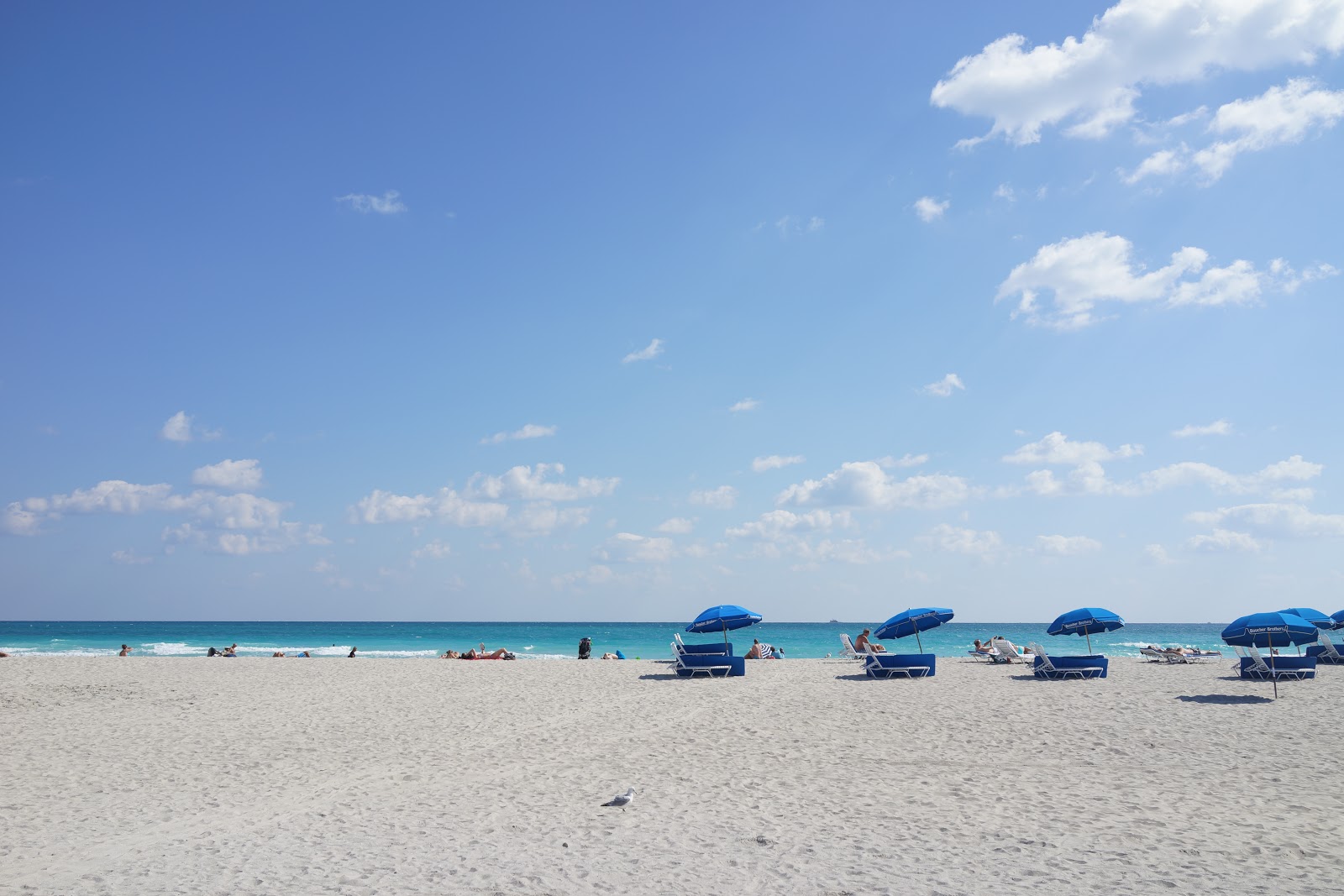 文化系マイアミ 地理