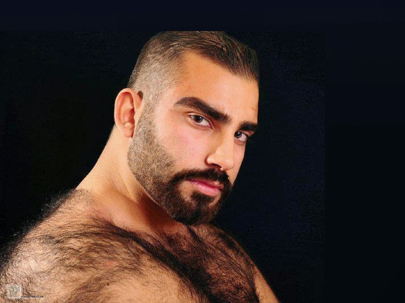 HairyChestsRuleYourDesktop: 0191-0200wallpapers of men with hairy chests