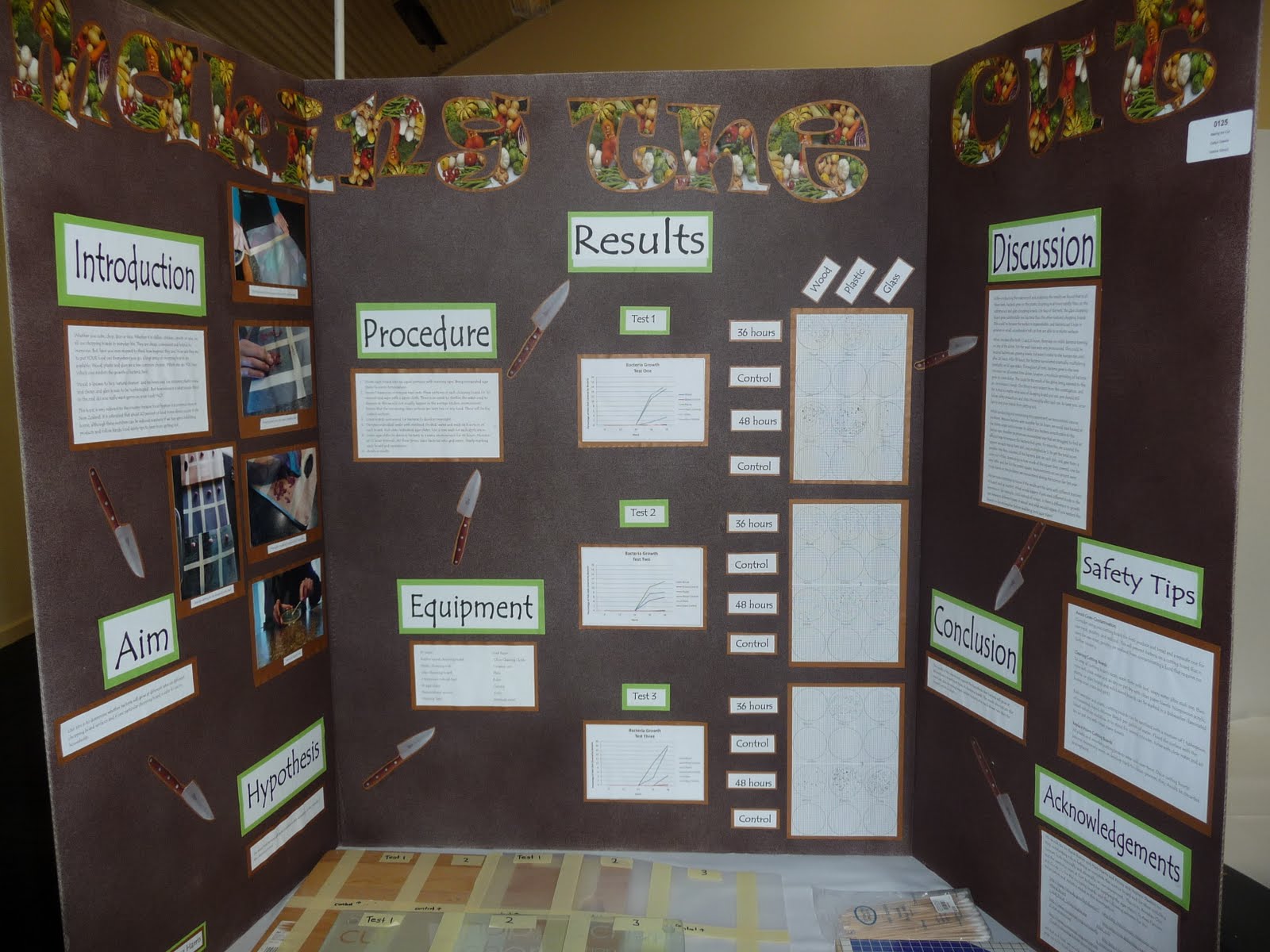 investiGATE@Kimihia: Science Fair 2011