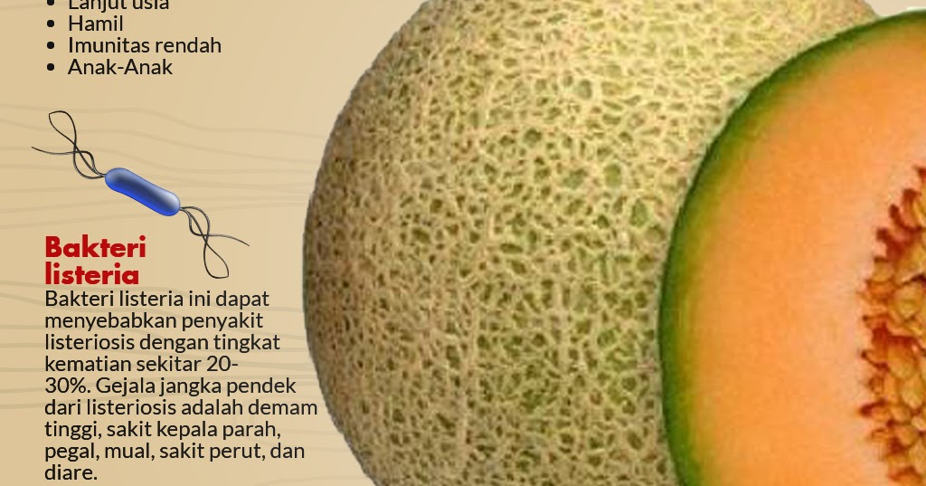 Bahaya Bakteri Listeria Pada Buah Rock Melon Australia