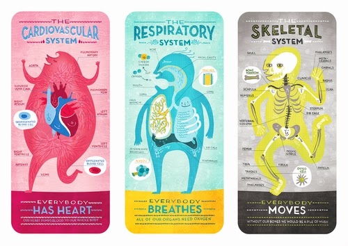 00-Front-Page-Body-System-Graphic-Designer-Illustrator-Rachel-Ignotofsky