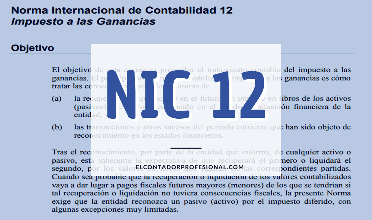 que es la nic 12