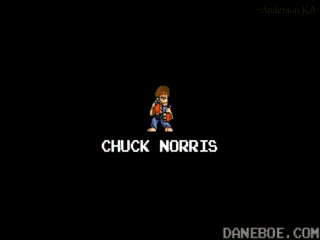 chuck-norris-world-game.gif