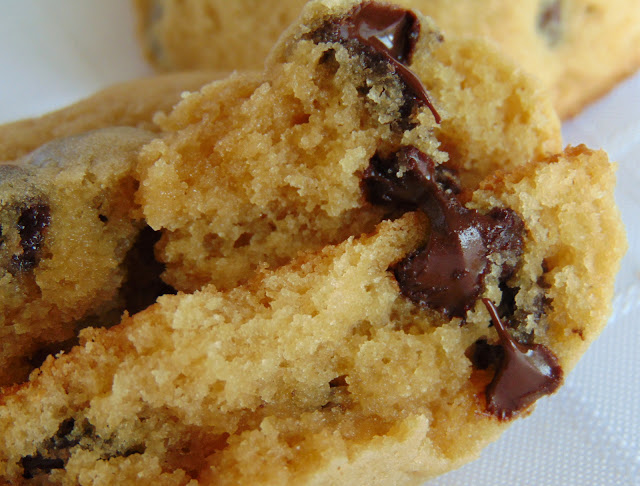 A warm from-the-oven Favourite Soft Chocolate Chip Cookies oozing with warm chocolate chips.