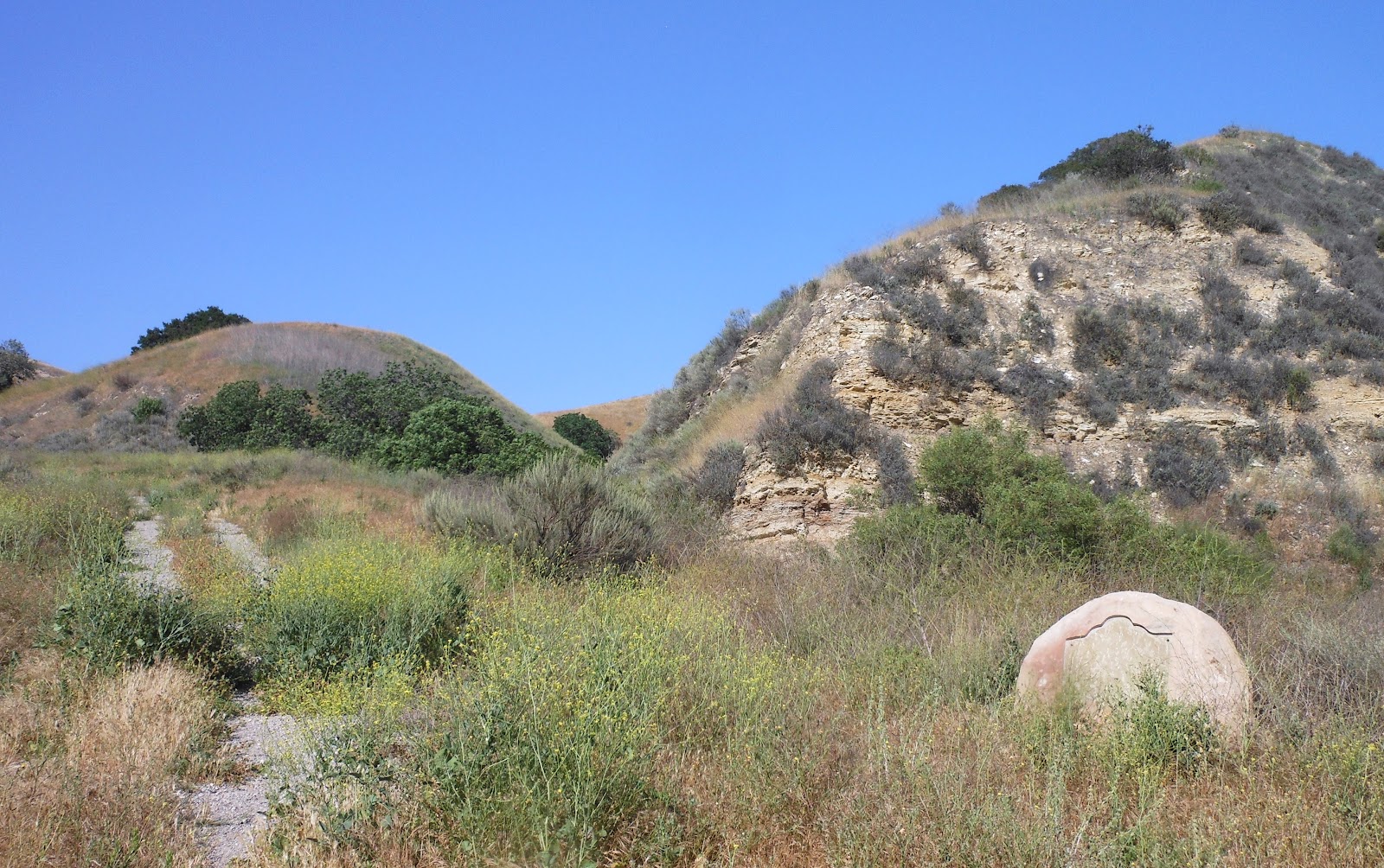 1000 Hikes in 1000 Days Day 556 Bark Park New Millennium Loop Trail
