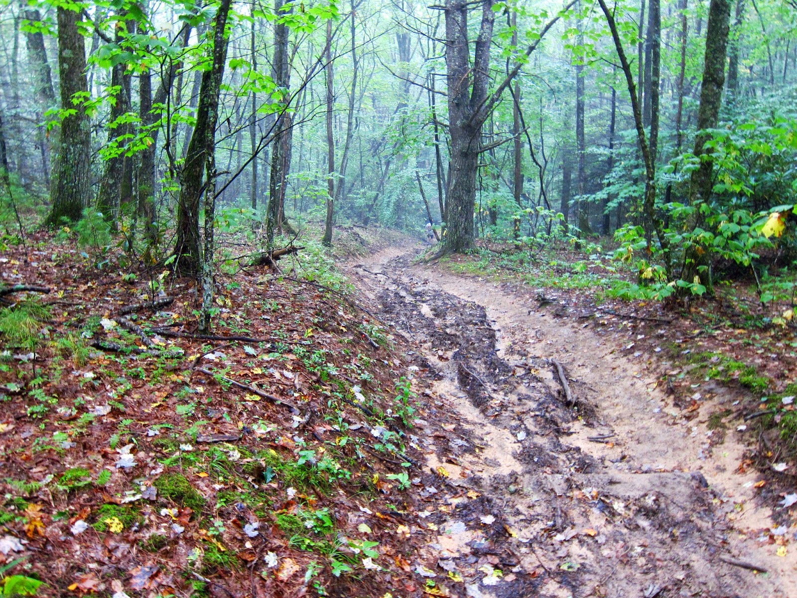 A Runner's Journey, out & back Iron Mountain Trail Run Recap