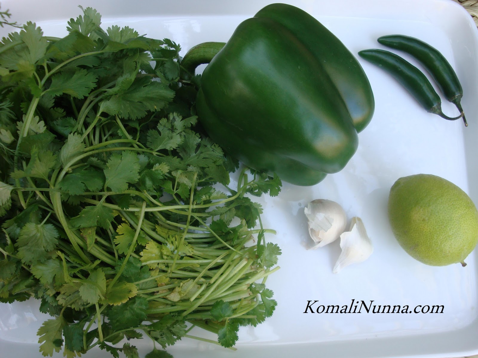 Entertaining From an Ethnic Indian Kitchen Cilantro Chutney