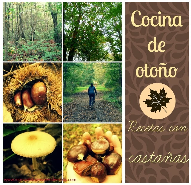 Cocina de otoño:recetas con castañas / Fall cuisine: chestnut recipes / Cuisine d