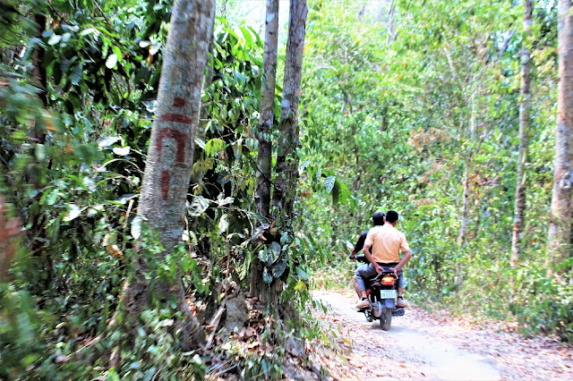 Motorbike tour on Phnom Kulen mountain, Cambodia - travel blog