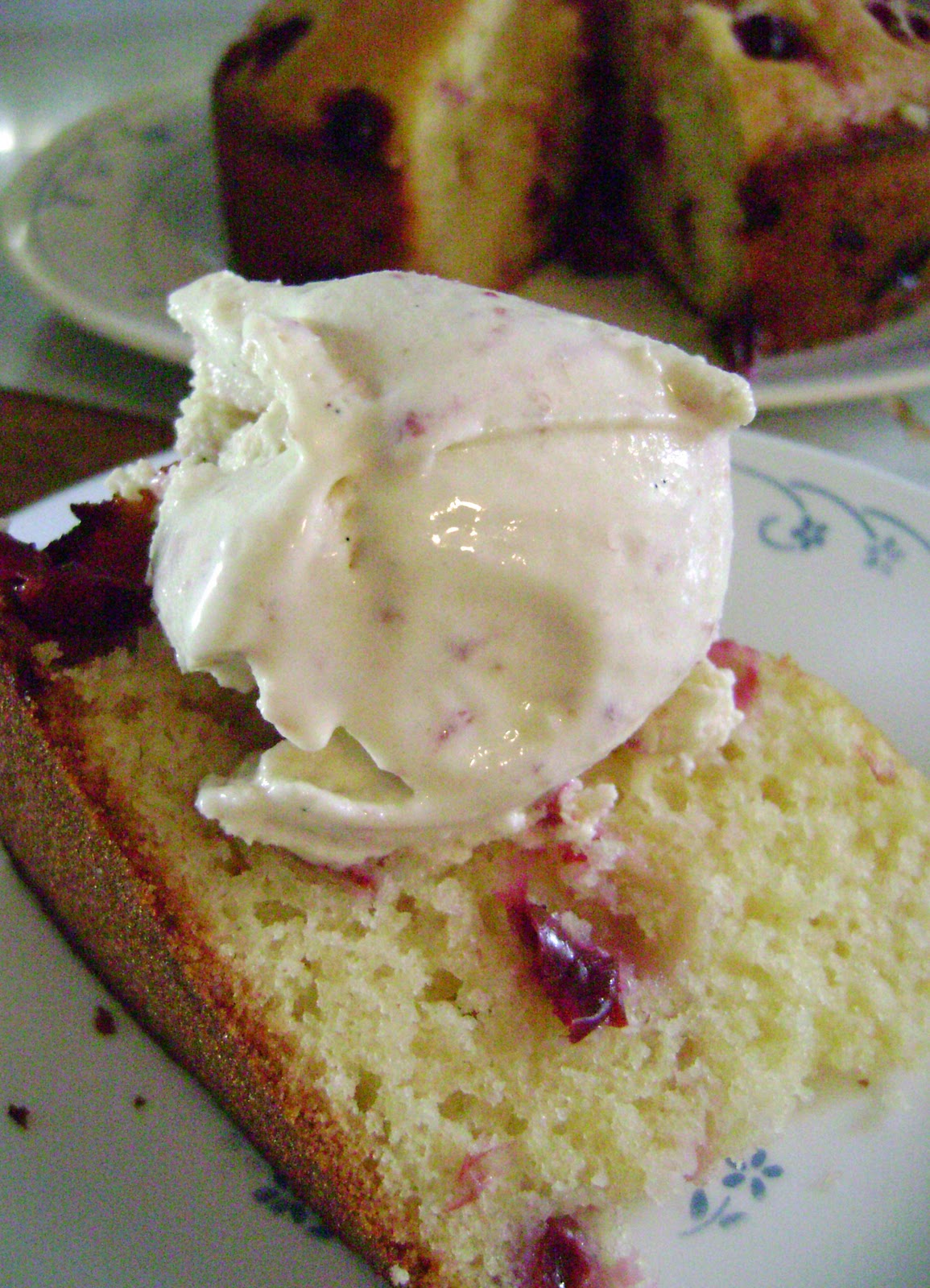 Jo and Sue Winemaker's Grape Cake