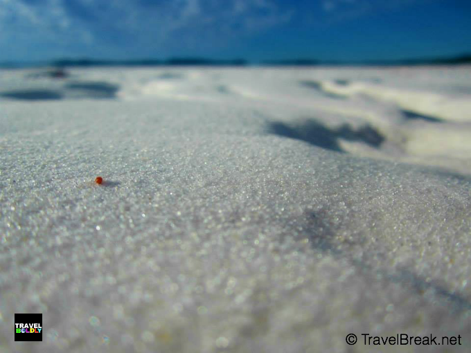 Whitehaven Beach, Queensland Australia.Photo: Copyright TravelBreack.net 2014 / TravelBoldly.com