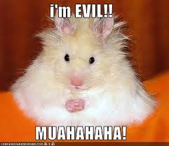 hamster evil evil hamster meme
