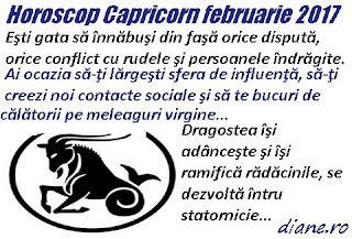 Horoscop februarie 2017 Capricorn