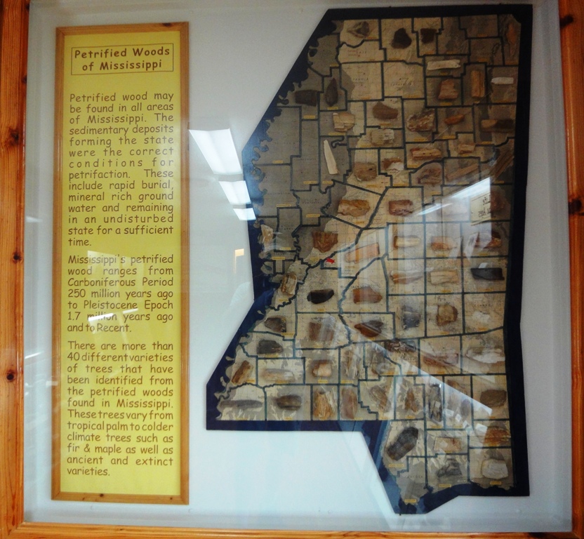 On the Road With the Roses Day 6 Flora, Mississippi Petrified Forest?