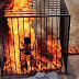 Cristiano es quemado vivo por el Estado islámico en Egipto.
