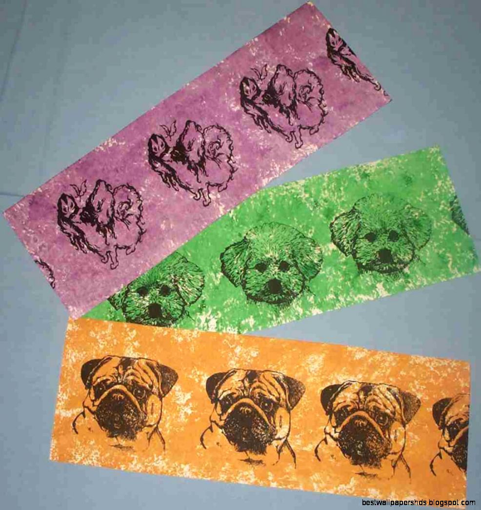 Animal Print Wallpaper Borders