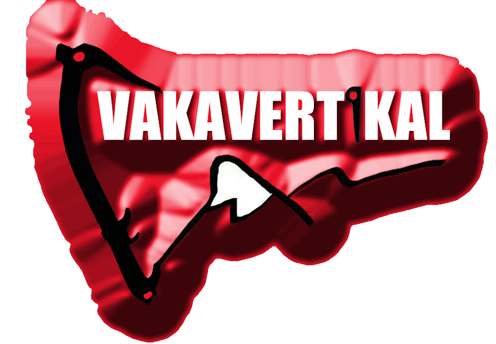 Vakavertikal