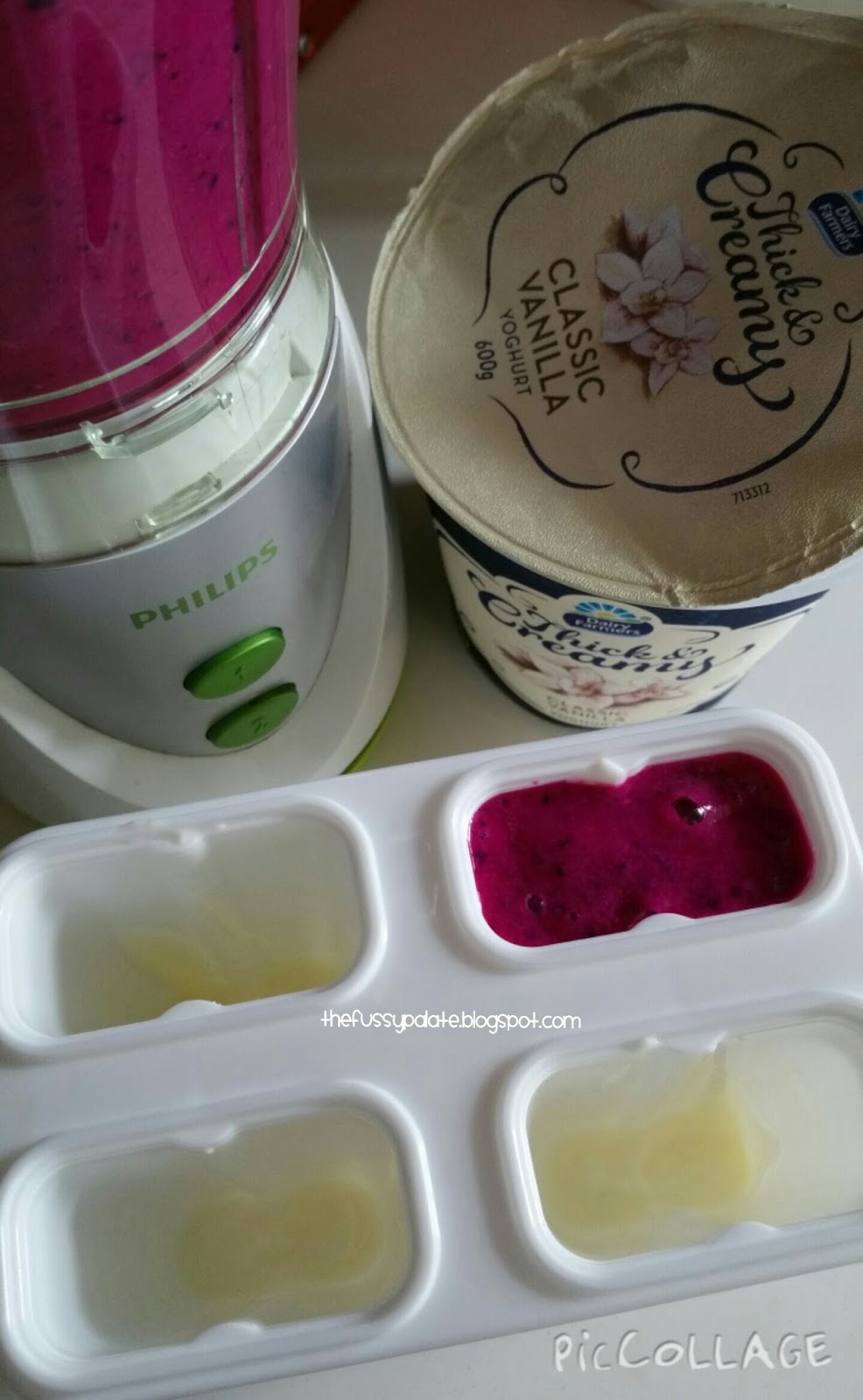 The Fussy Palate Dragonfruit & Vanilla Greek Yoghurt Popsicles