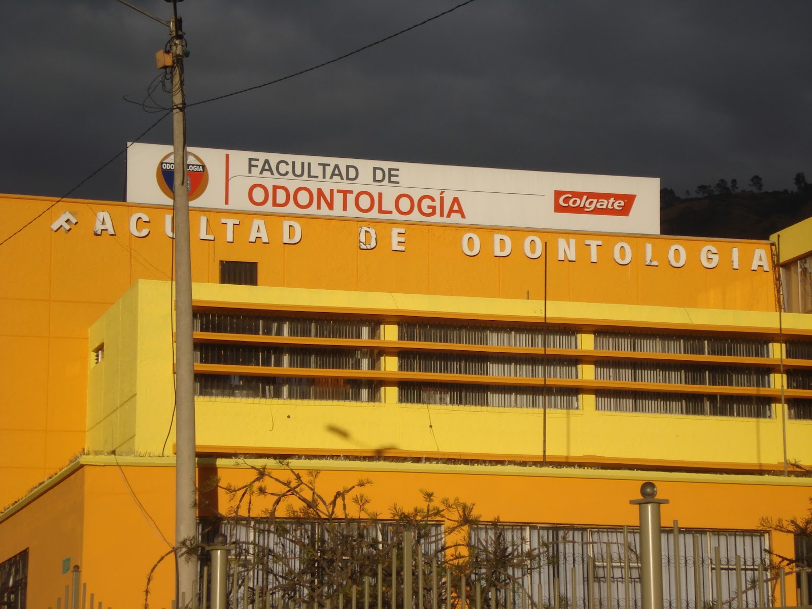 FACULTADES DE LA UNIVERSIDAD CENTRAL DEL ECUADOR