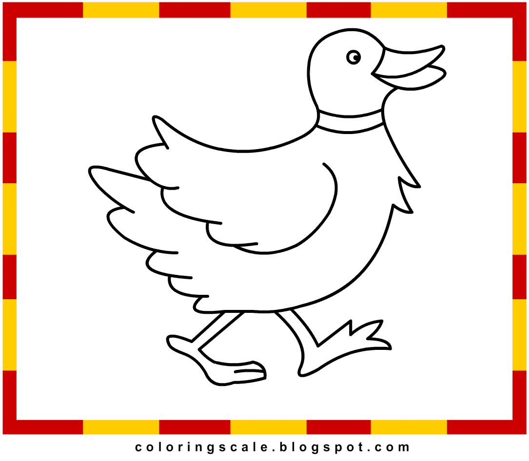 Coloring Pages Printable for kids: Duck Coloring pages for kids