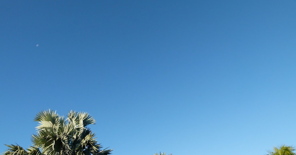 Key West vacation and visit guide When is the best time of year to