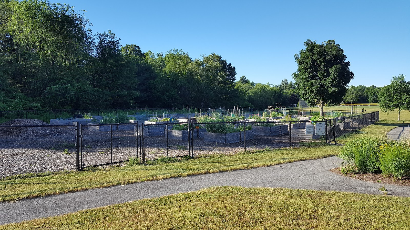 Franklin Matters urban agriculture is a newer trend"