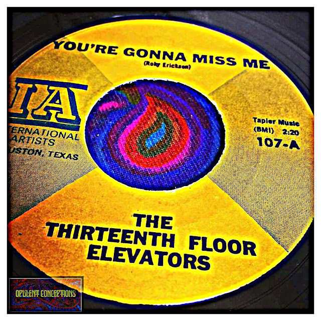 The Thirteenth Floor Elevators You Re Gonna Miss Me