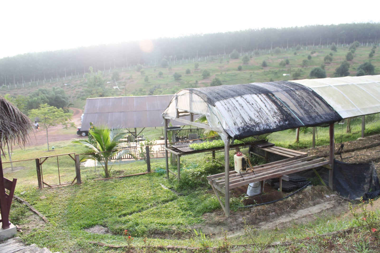 民宿走走来 N.Sembilan Simpang Pertang Kee's Farm 緣憩林