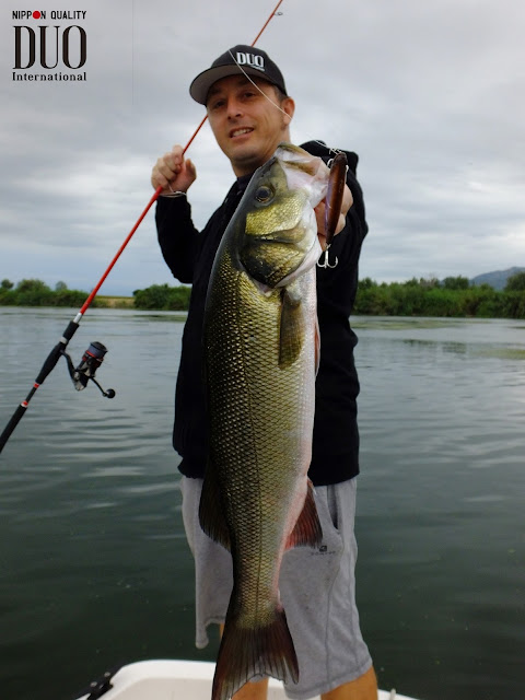 Raúl Marti : DUO Realis Pencil 85