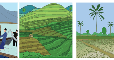 Tematik Oke Perbedaan Pantai Dataran Tinggi Dan Dataran Rendah