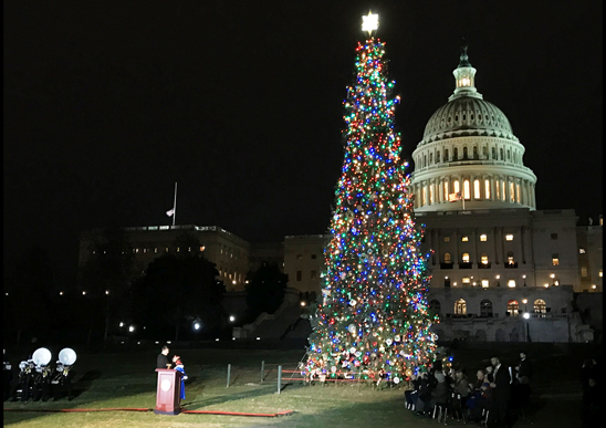 2018 U.S. Capitol Christmas Tree