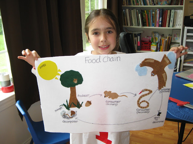 food chain 1st grade