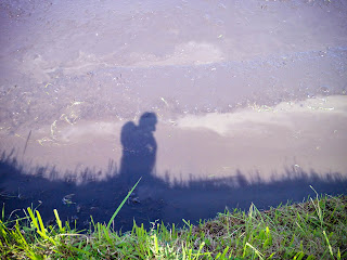 My Shadow On Muddy Rice Field On A Sunny Day In Agricultural Area At Ringdikit Village, North Bali, Indonesia