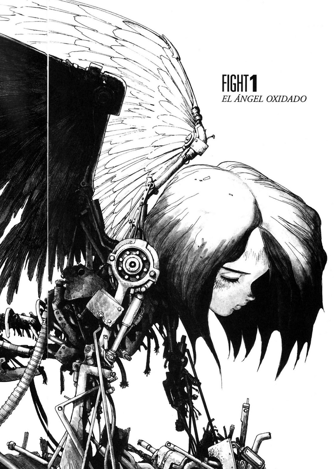 Ciudad Terminus GUNNM · Alita Angel