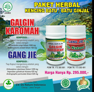 OBAT BATU GINJAL