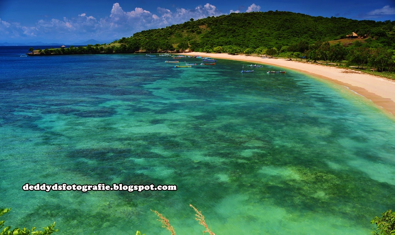 Pink Beach Lombok