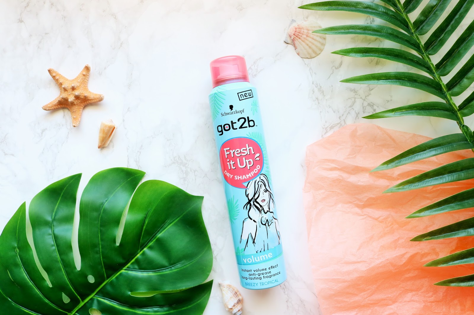 Schwarzkopf Got2B Fresh It Up Dry Shampoo Review Ocean of F&B