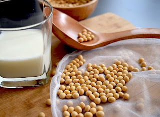WHAT ARE THE BENEFITS OF  SOY PROTEIN FOR HEALTH AND FITNESS