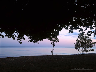 Fresh And Calm In Morning Under The Trees By The Beach, Seririt, North Bali, Indonesia