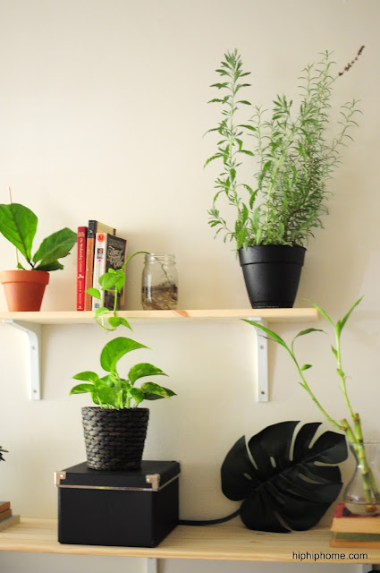 Houseplant shelving