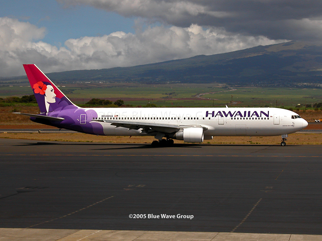 kyrie flytrap korayspor