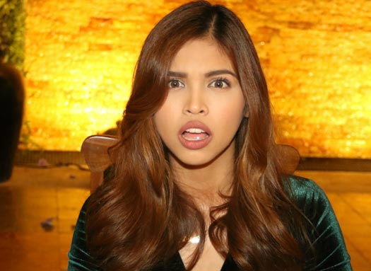 NETIZEN BASHED MAINE MENDOZA'S STATEMENT NETIZEN BASHED MAINE MENDOZA'S STATEMENT