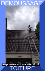 travaux entretien couverture de toit
