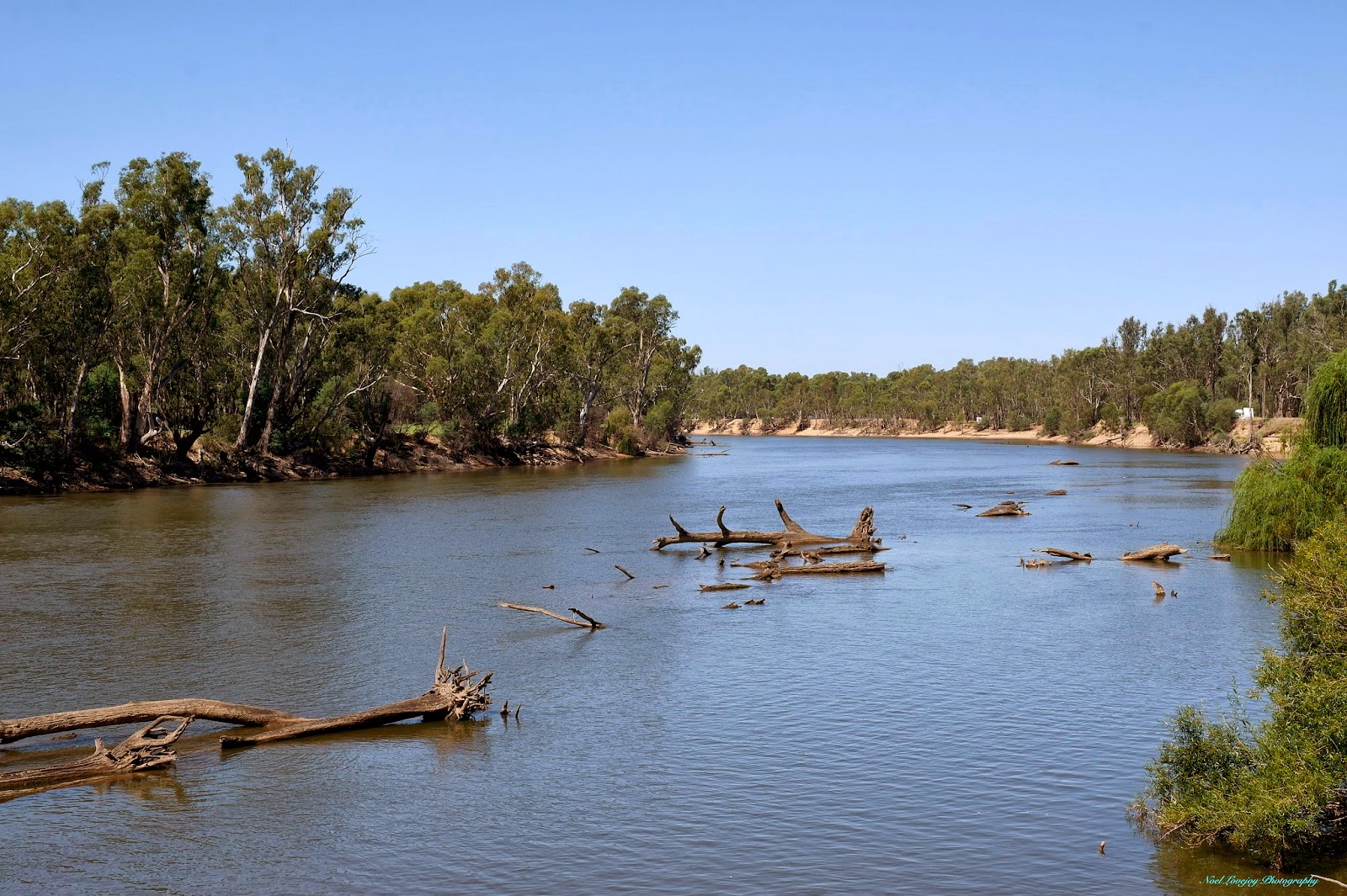 Can Go Around Australia Green Bank, Murray River Reserve, Victoria.