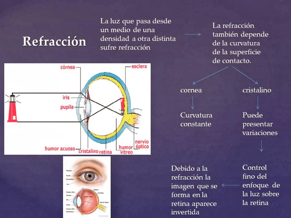 blogg de fisiologia uas Cesar Geronimo Angulo Ramirez indice de refraccion