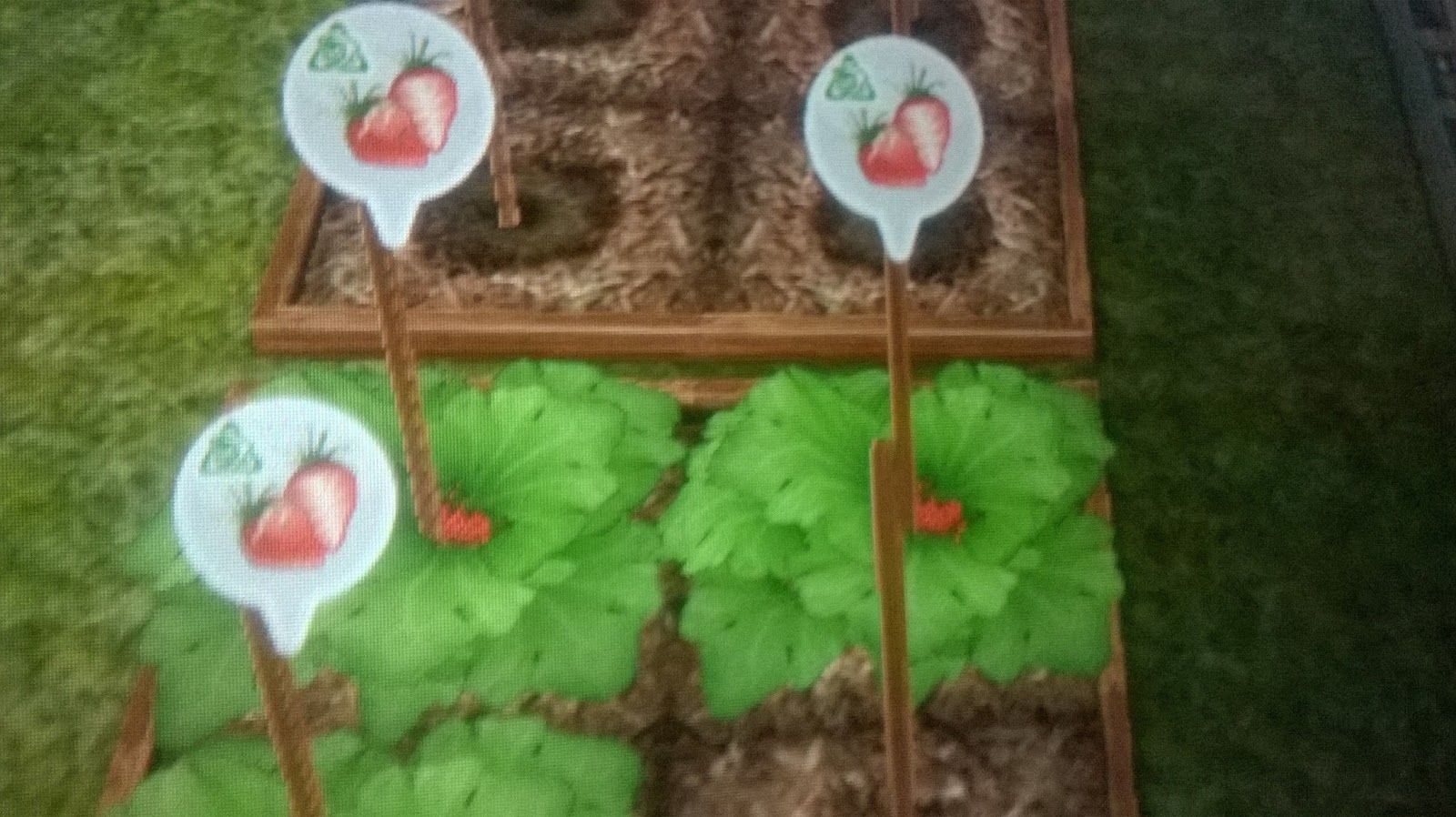 The Simsple Life DIY Homes Basement Of Kings Quest