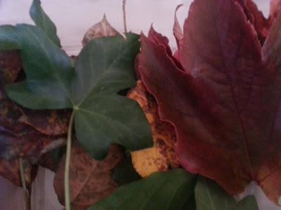hojas-secas